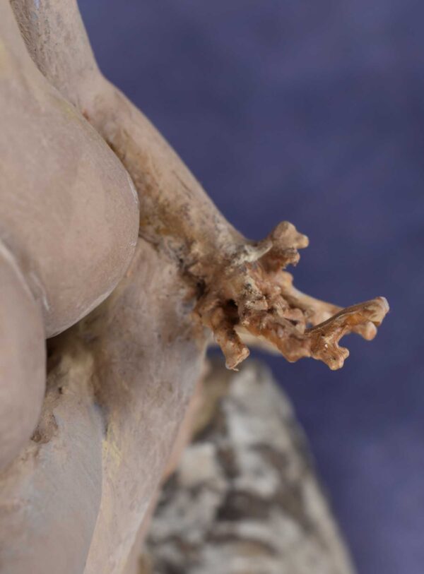 Close-up hand view: clay sculpture of seated woman with a branch for an arm and coral protruding from her head like a crown.